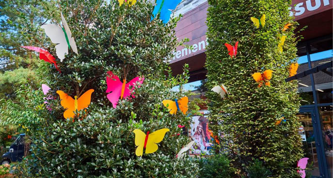 Papillons à accrocher buisson