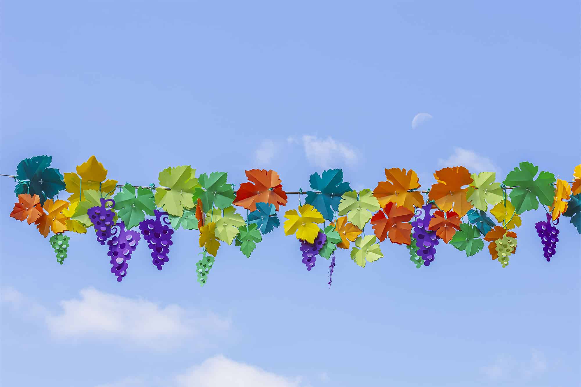Ciel de Feuilles de Vignes et de Grappes de Raisin pour la Ville de ...
