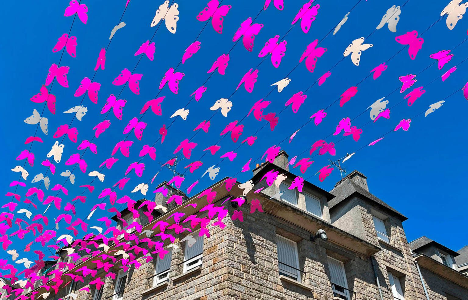 Ciel de papillons pour Octobre Rose, réalisé par ToutComme