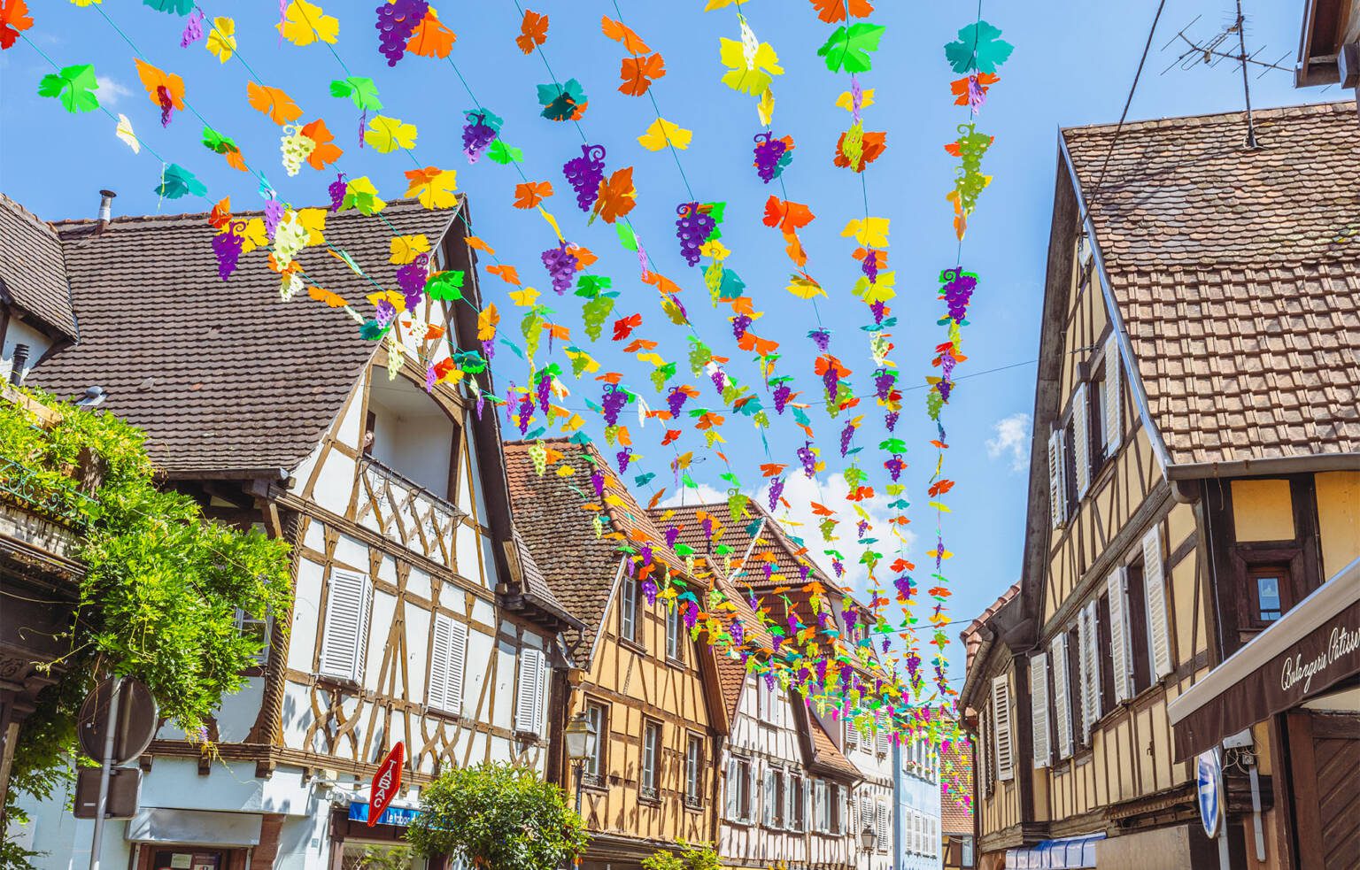 Ciel de feuilles de vignes et grappes de raisins, cette décoration représente l'évolution de la vigne pendant les saisons. Décoration réalisée par Toutcomme